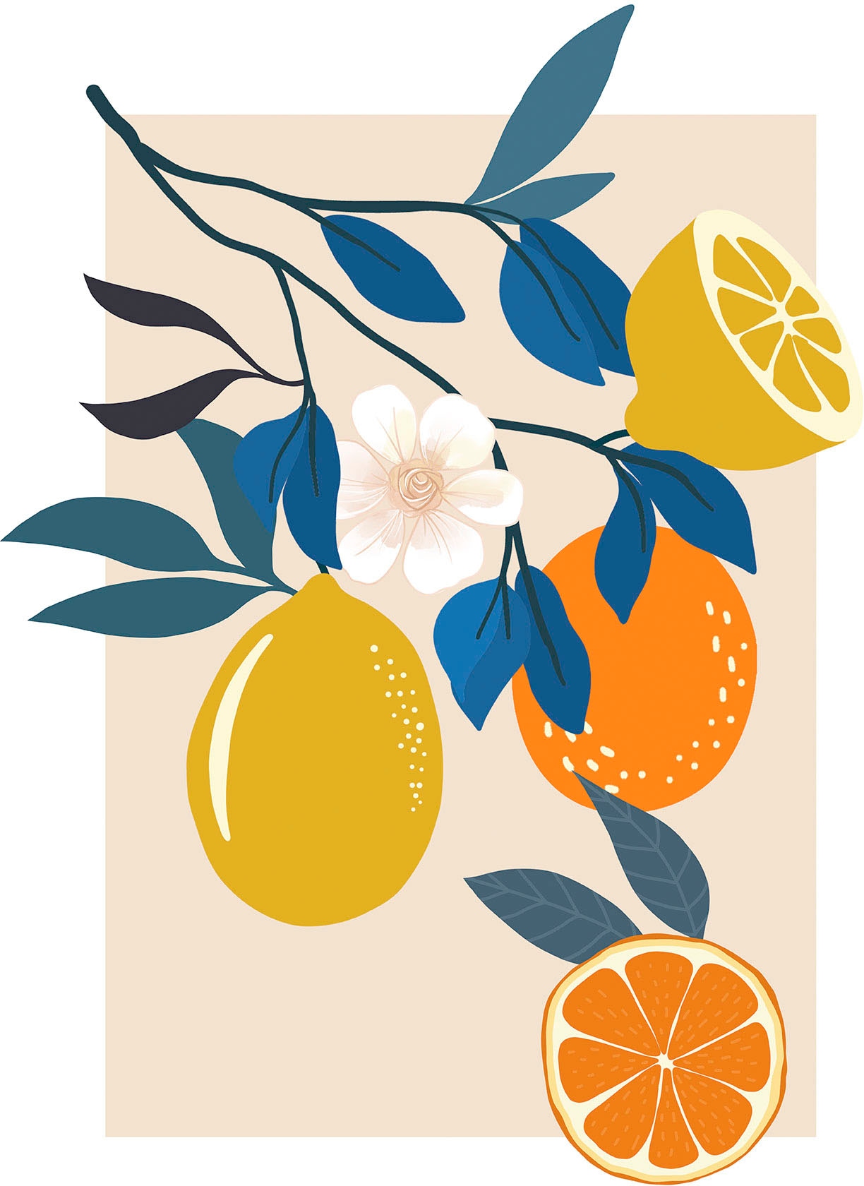 Komar Bild "Illustration Finest Fruits" Natur 1 Stk. tlg. Wandbild zur Deko günstig online kaufen
