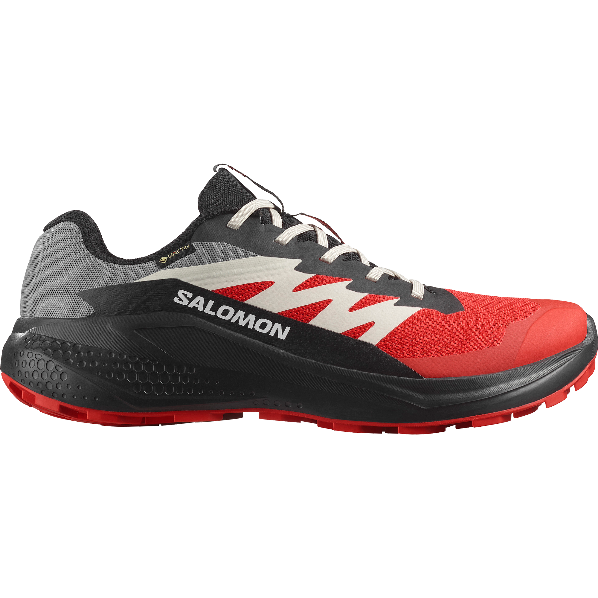 Salomon Laufschuh "ALPHAGLIDE GORE-TEX" wasserdicht günstig online kaufen