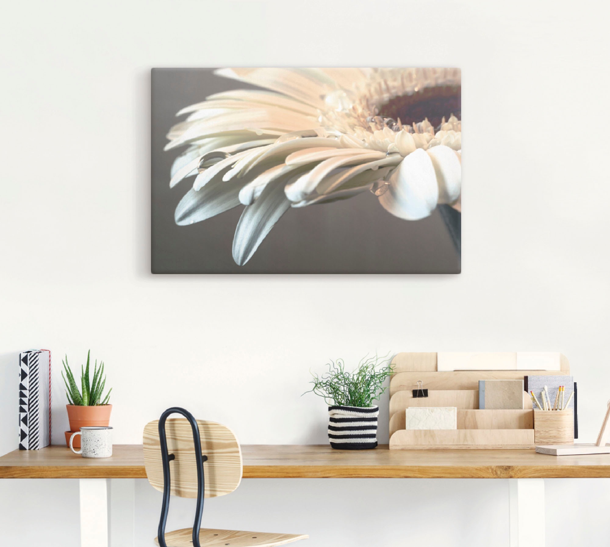 Artland Wandbild "Blüte einer Gerbera" Blumen 1 Stk. tlg. auf Holzrahmen ge günstig online kaufen
