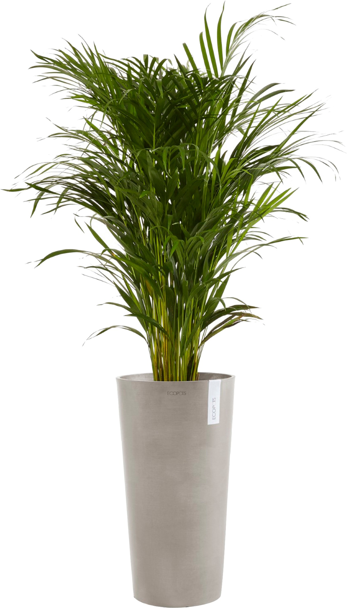 ECOPOTS Blumentopf »Amsterdam extrahoch 90 Taupe«, für innen und außen: frostsicher, bruchsicher und lichtbeständig