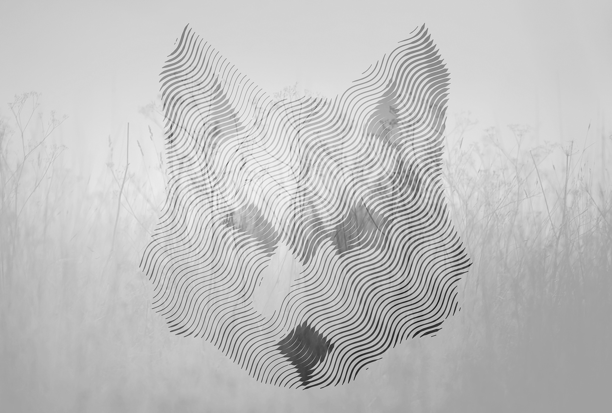 Architects Paper "Atelier 47 Fox Graphic 2" abstrakt glatt Vlies, Wand, Schräge, Decke
