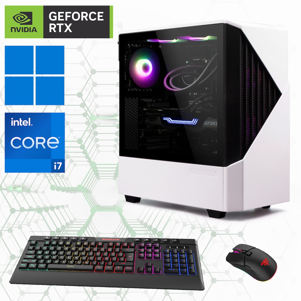 Hyrican Gaming-PC »Horizon 6897«