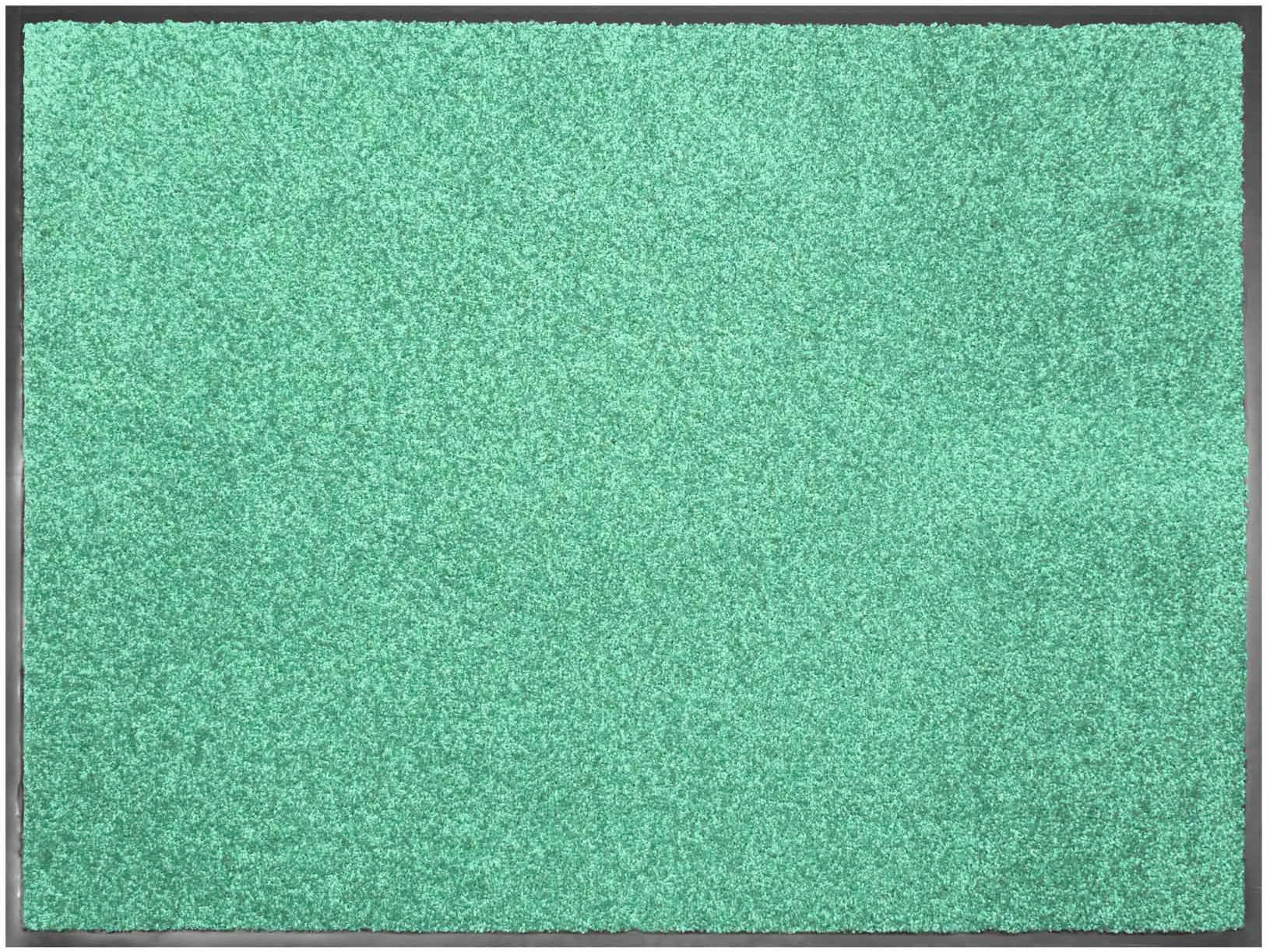 »CLEAN«, | Primaflor-Ideen Fußmatte in BAUR Schmutzfangmatte, große rechteckig, Textil Farbauswahl, waschbar