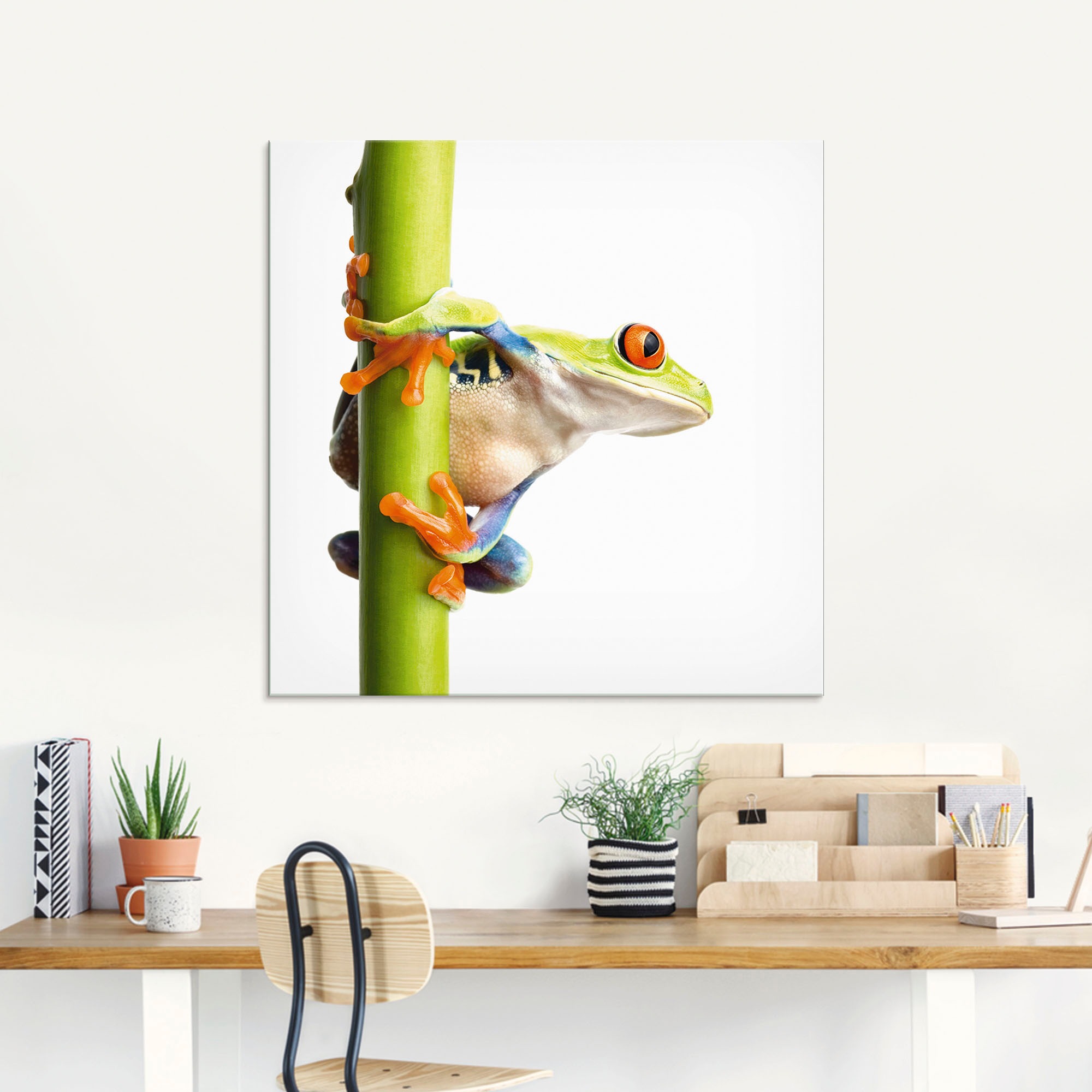 Artland Glasbild "Frosch umfasst einen Pflanzenstengel" Wassertiere 1 Stk. günstig online kaufen