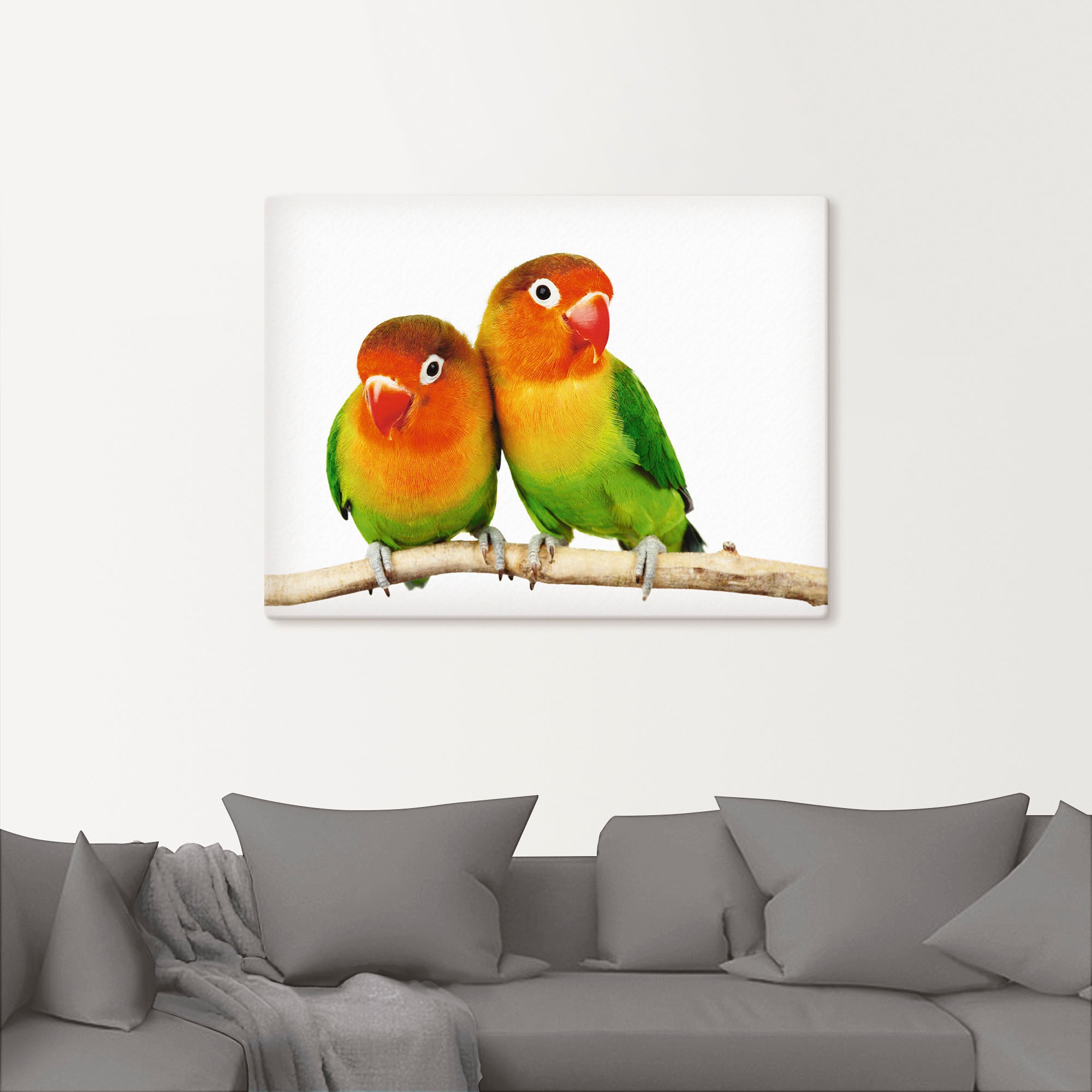 Artland Wandbild "Paar von Grauköpfchen - Papageien", Vögel, (1 St.), als L günstig online kaufen