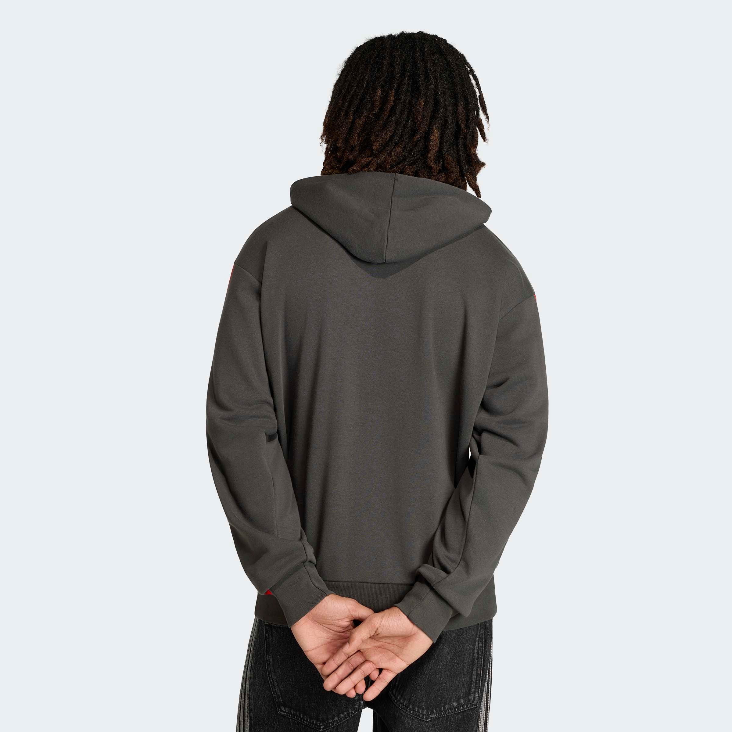 adidas Performance Kapuzensweatshirt »AUDI REVOLUT F1 TEAM DNA FRENCH TERRY HOODIE«
