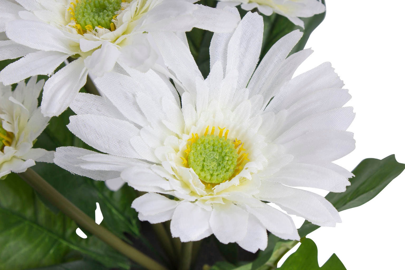 Botanic-Haus Kunstblume "Gerbera mit 5 Blüten" günstig online kaufen