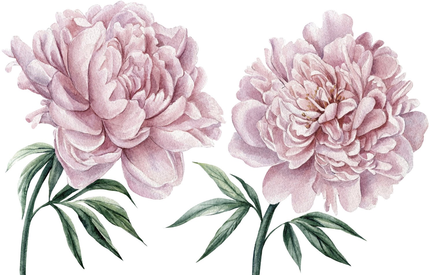 queence Wandtattoo »Lilly« (1 St.)