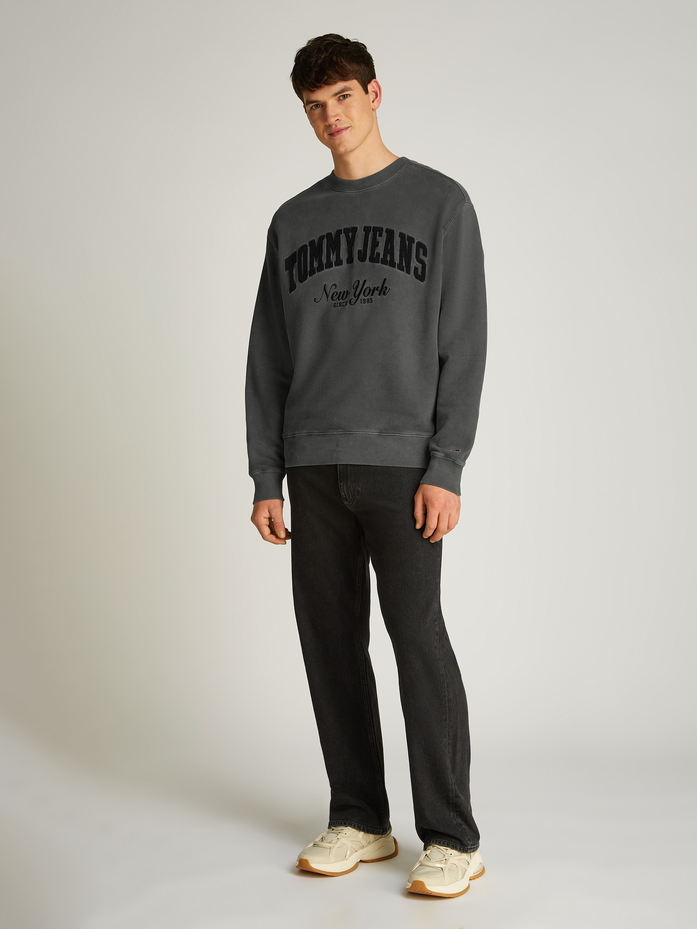 Tommy Jeans Sweatshirt »TJM RLX VINTAGE VARSITY CREW«, mit großem Logo