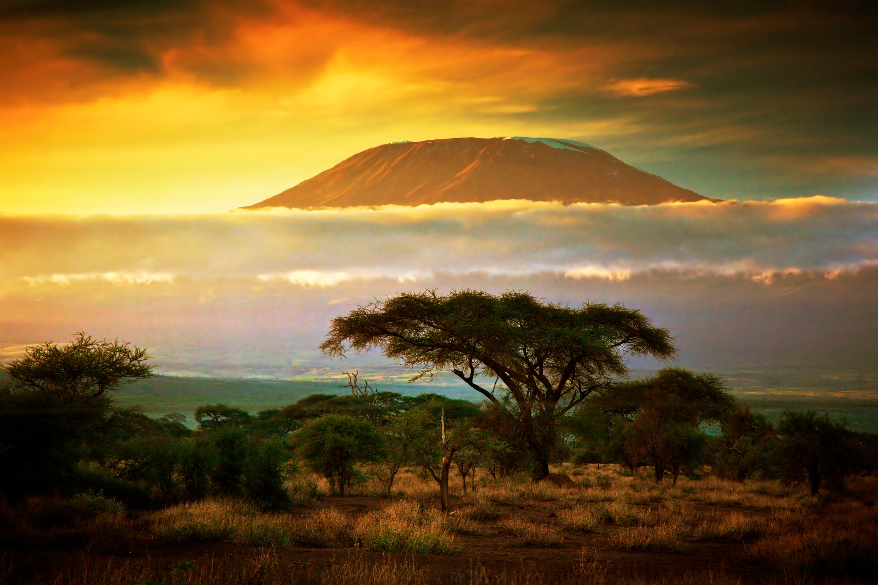 Papermoon Fototapete "Mount Kilimanjaro and Clouds" glatt