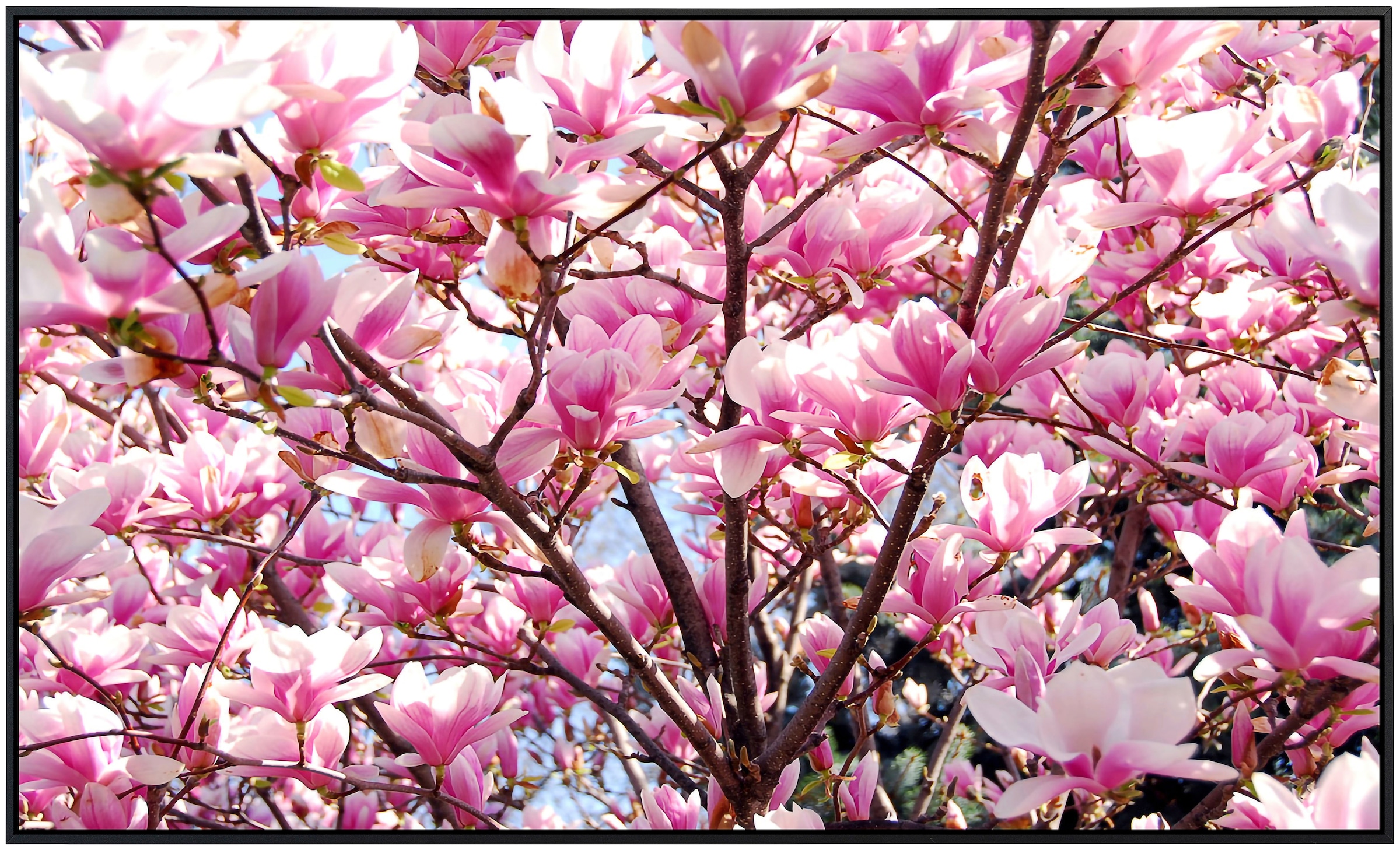 Papermoon Infrarotheizung »Kirschblüten«, sehr angenehme Strahlungswärme