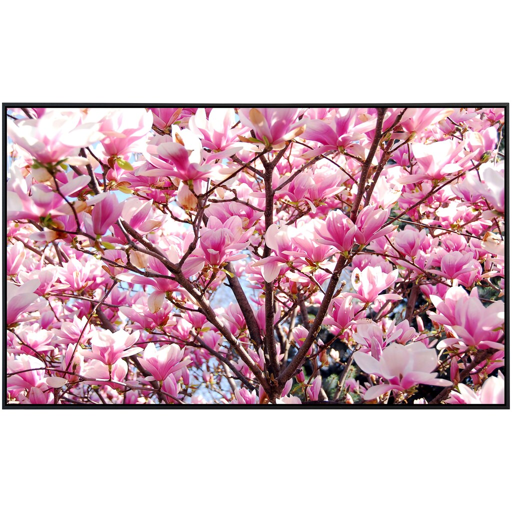 Papermoon Infrarotheizung »Kirschblüten«