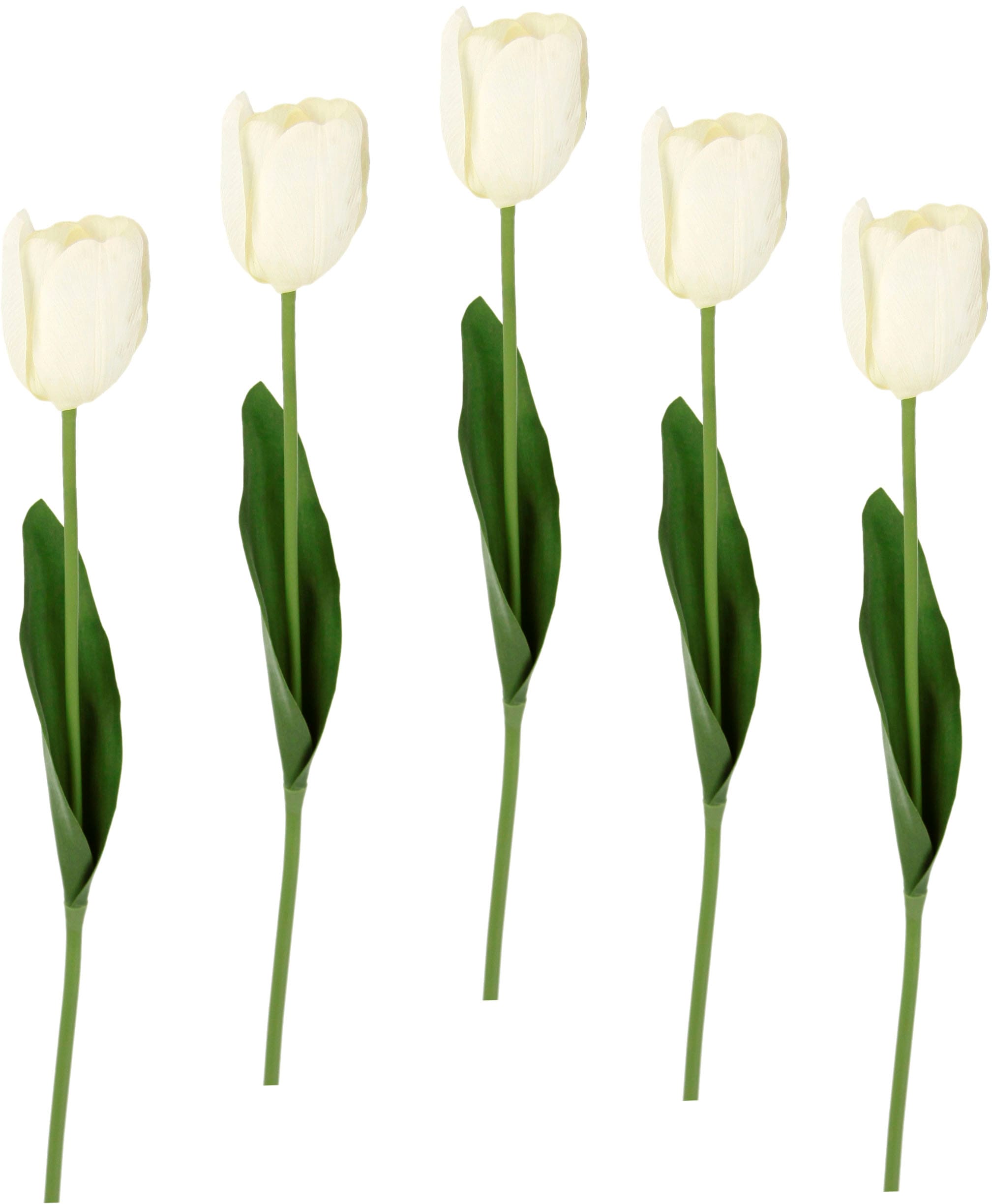 I.GE.A. Kunstblume Touch 5er »Real Stielblume Tulpenknospen, BAUR Tulpen«, | Set bestellen künstliche Kunstblumen