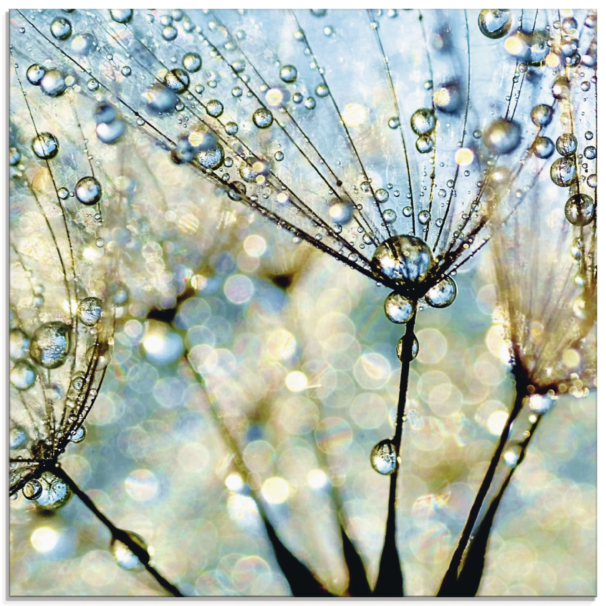 Artland Glasbild "Pusteblume Blaue Diamanten" Blumen 1 Stk. tlg. in verschiedenen Größen