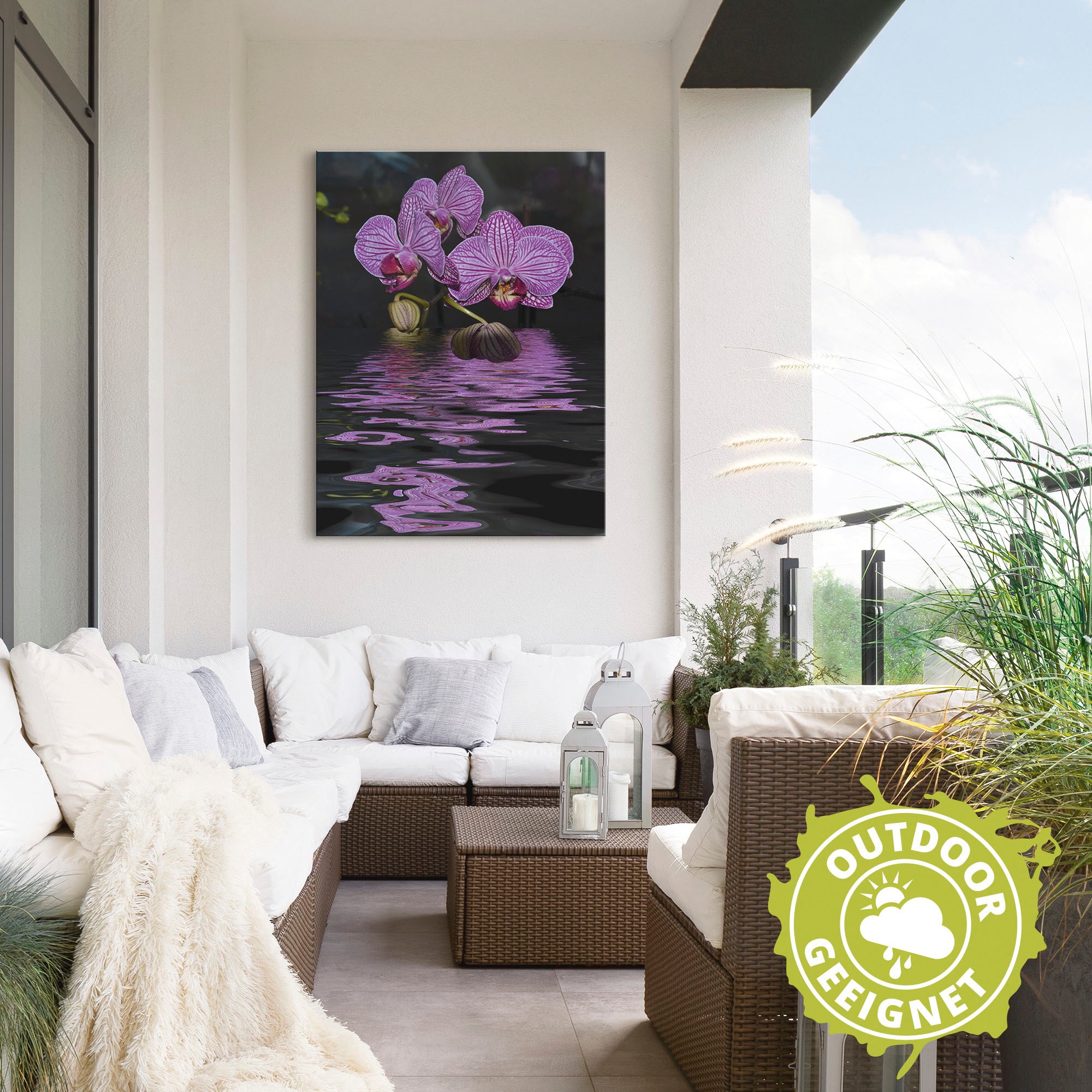 Artland Wandbild »Wasserorchidee«, Blumen, (1 St.), als Alubild, Leinwandbild, Wandaufkleber oder Poster in versch. Größen
