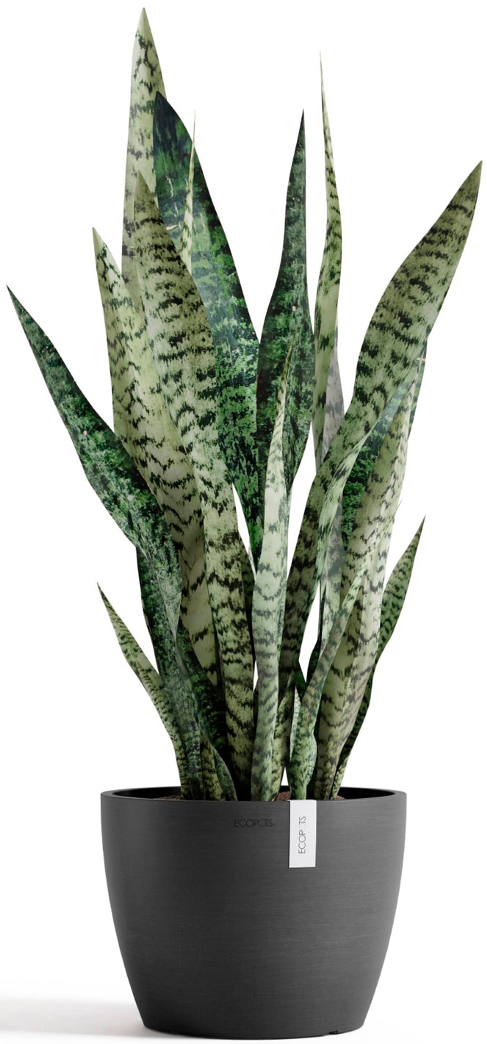 ECOPOTS Blumentopf »Stockholm 24 Dunkelgrau«, für innen und außen: frostsicher, bruchsicher und lichtbeständig
