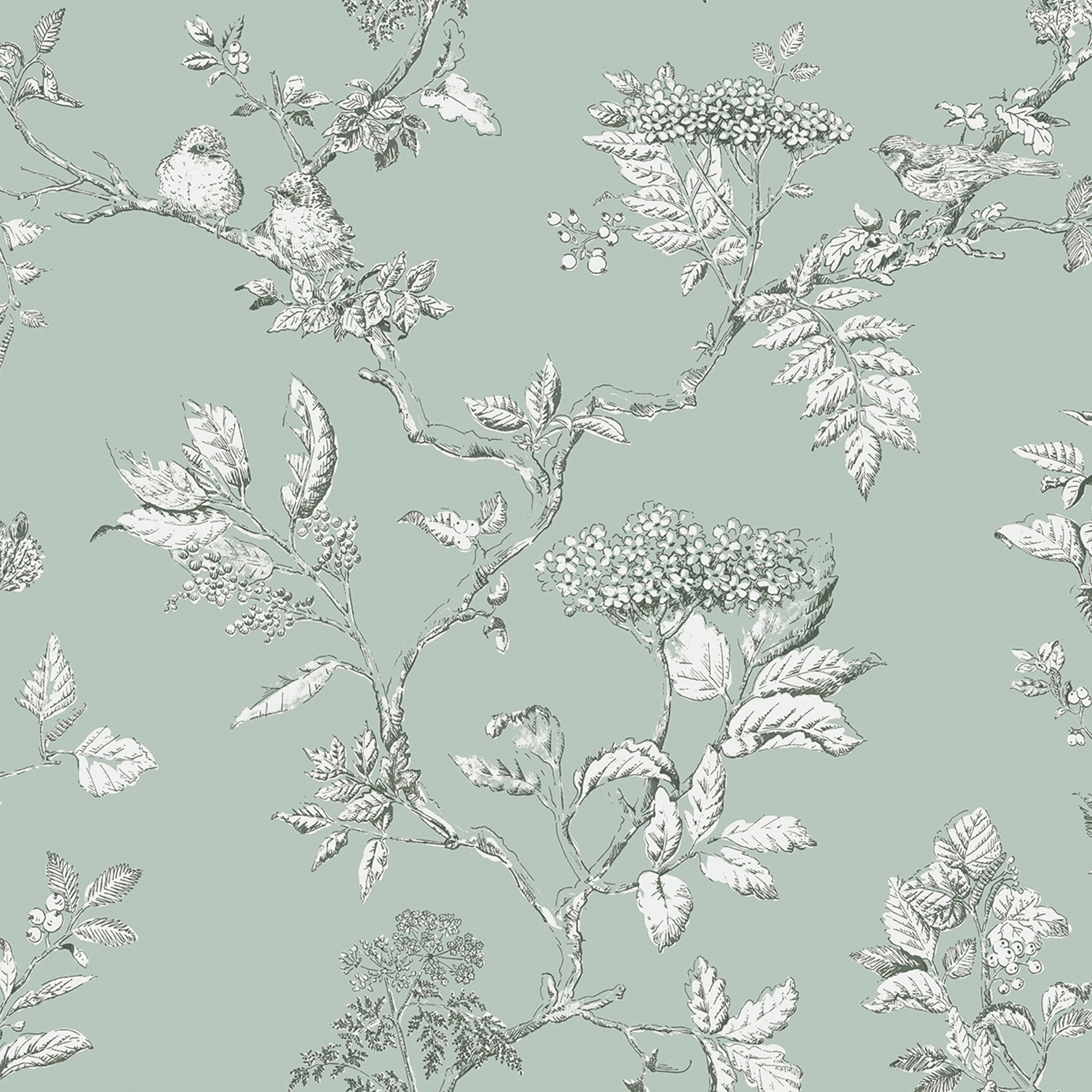 Laura Ashley - Papier peint intissé Branches Elderwood Duck Egg 1005 x 52cm Vert bleuté