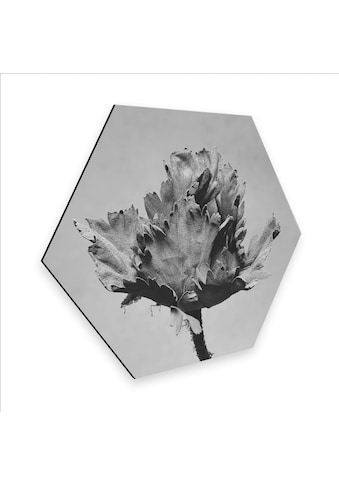 Wall-Art Metallbild »Botanisches paveikslas Blu...