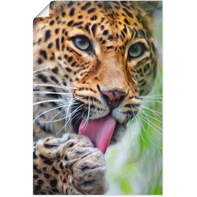 (1 als St.), Wandbild bestellen »Leopard«, Alubild, Leinwandbild, Größen Wildtiere, | Poster oder in versch. Artland BAUR Wandaufkleber