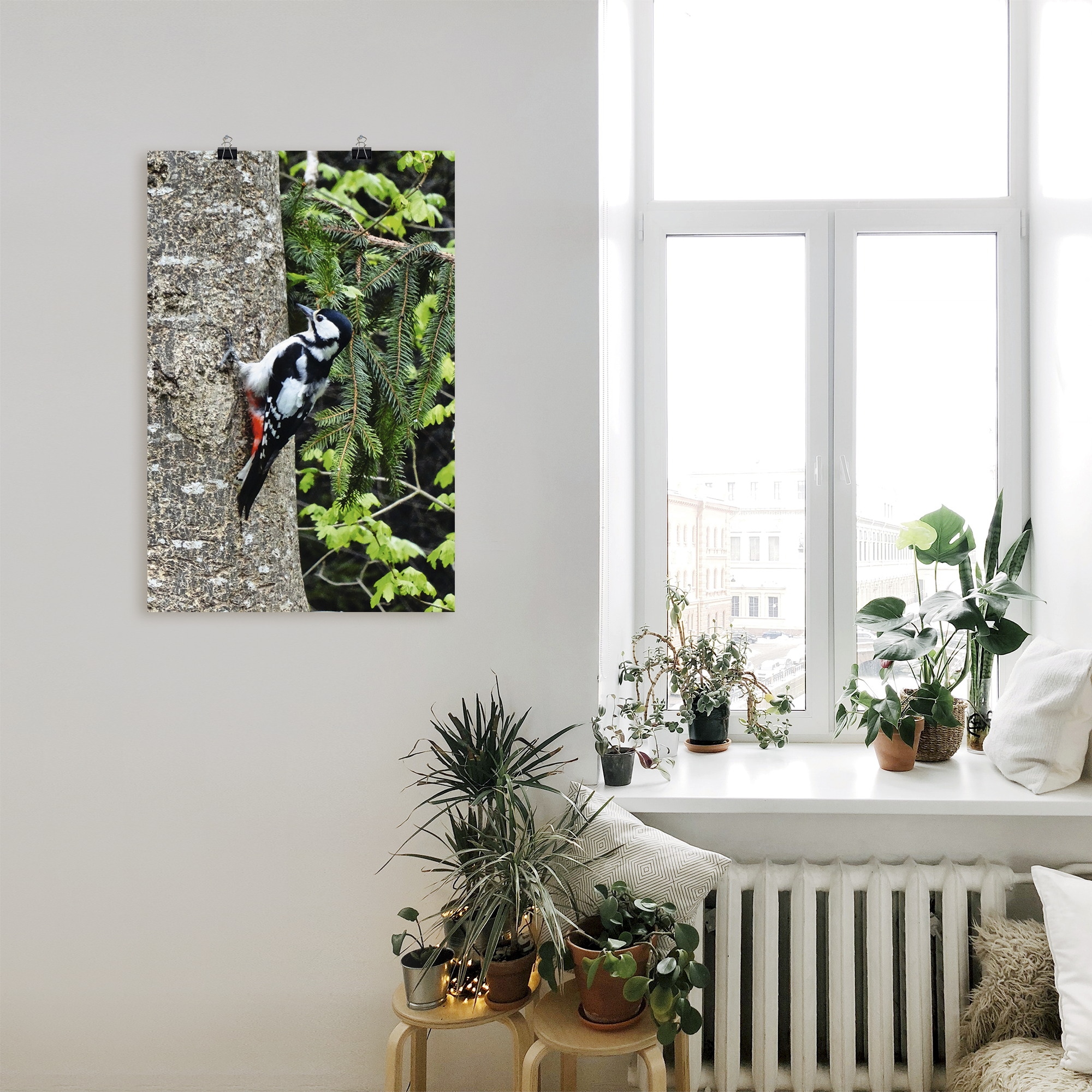 Artland »Buntspecht im Wald« Vögel 1 Stk. tlg. ohne Rahmen