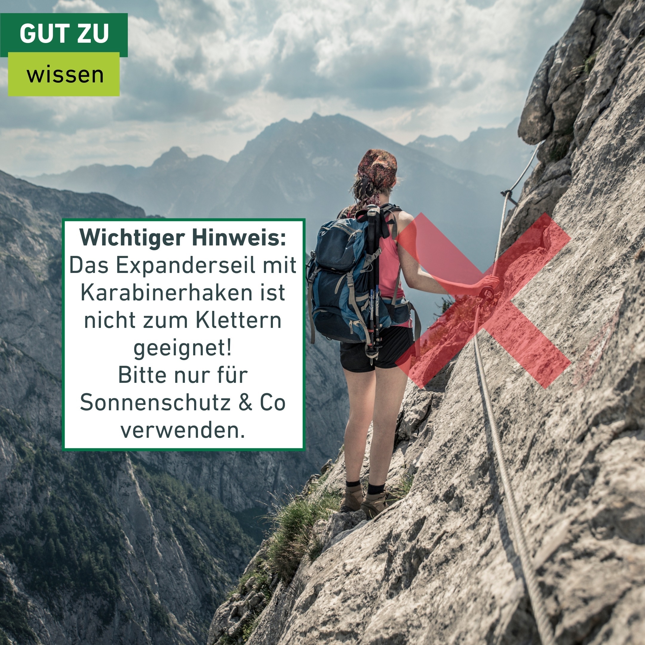 Windhager Seilhaken »Expanderseil inkl. Karabinerhaken, 2 Stk., elastisches Spannseil« zum Auf- und Abspannen von Sonnensegel, Gepäckspanner 70 cm