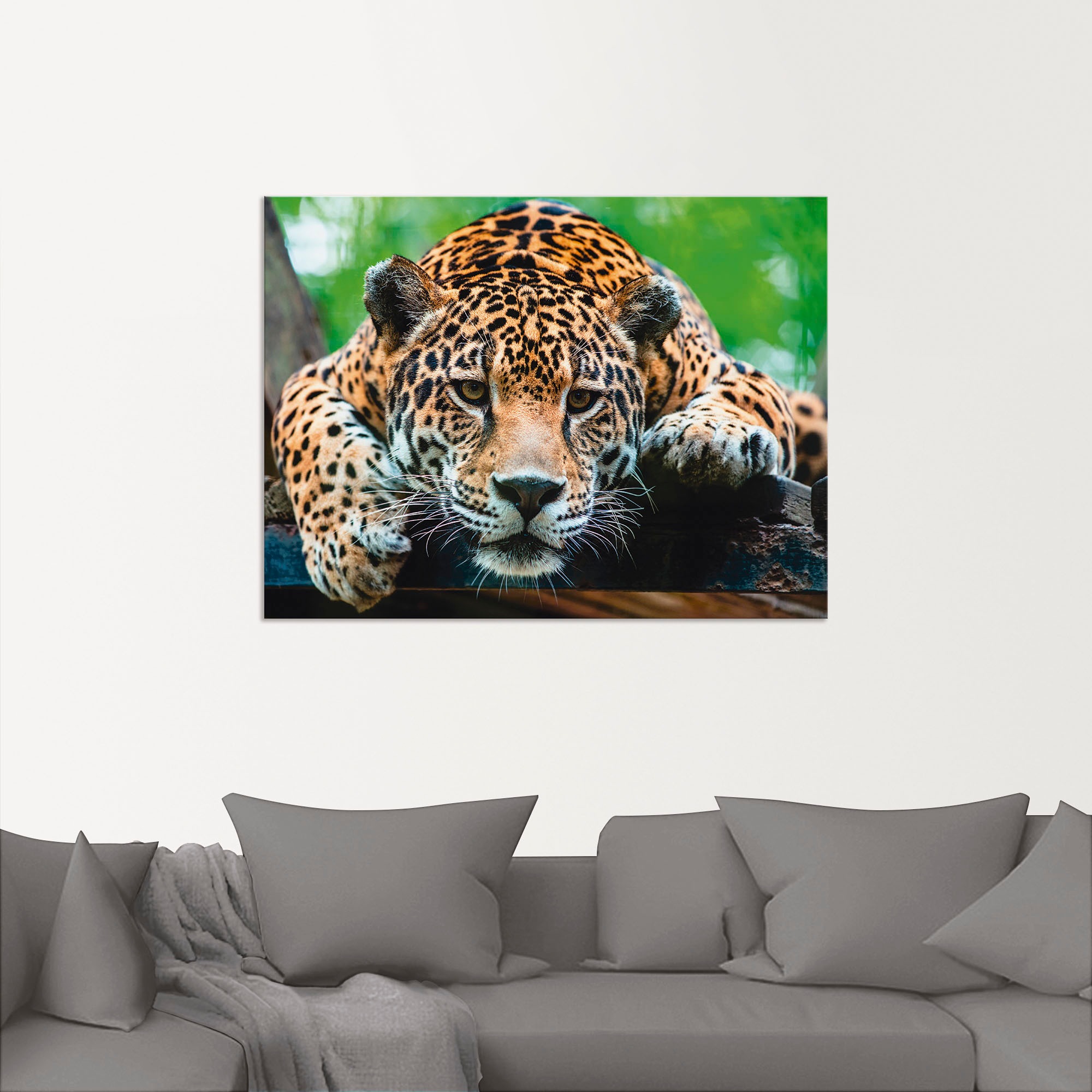 Artland Wandbild »Südamerikanischer Jaguar«, Wildtiere, (1 St.), als Alubild, Outdoorbild, Leinwandbild, Poster, Wandaufkleber