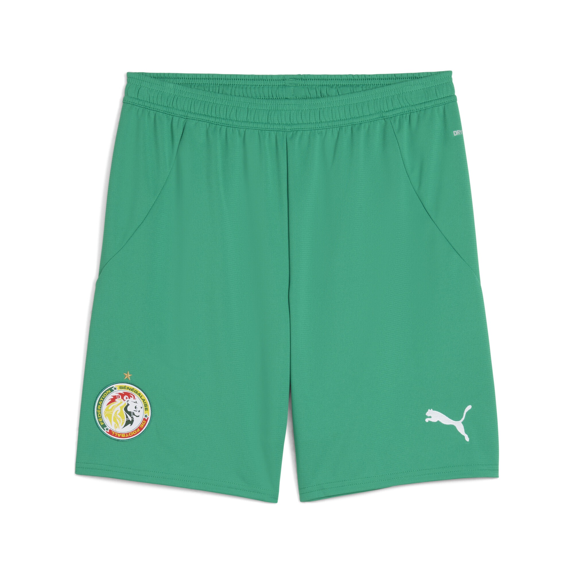 PUMA Damen Sporthose "Senegal 2025 Shorts Herren", grün, Gr. L, colorblocking, Obermaterial: 100% Polyester, Hosen