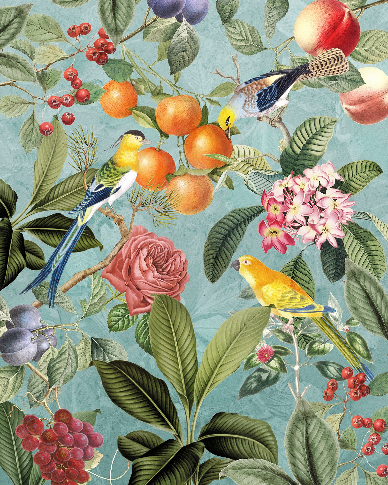 Komar "Digitaldruck Vlies - Birds and Berries - Größe 200 x 250 cm" bedruckt glatt Wohnzimmer, Schlafzimmer