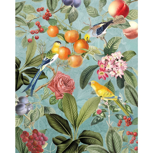 Komar Vliestapete »Birds and Berries«, 200x250 cm (Breite x Höhe) günstig |  BAUR