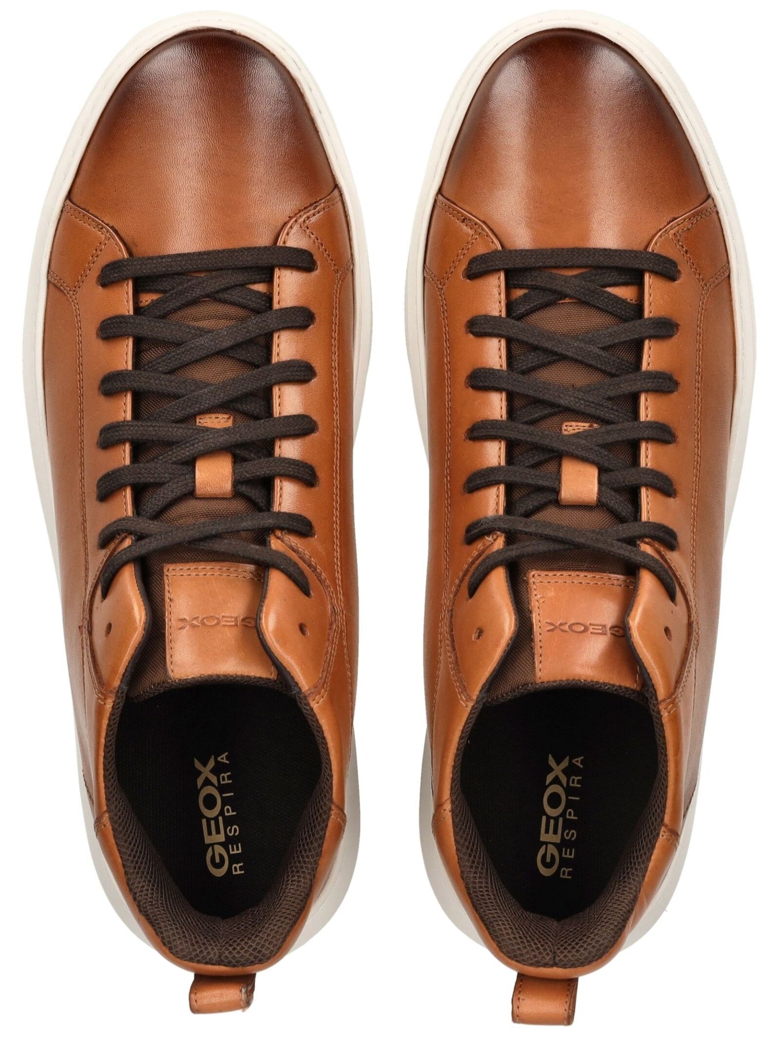 Geox Sneaker »Geox Sneaker Leder/Textil«