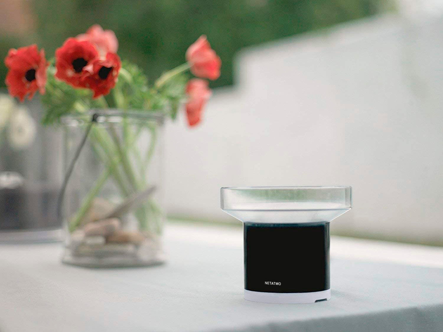 Netatmo Wassersensor »Smarter Regenmesser«, (1 St.)