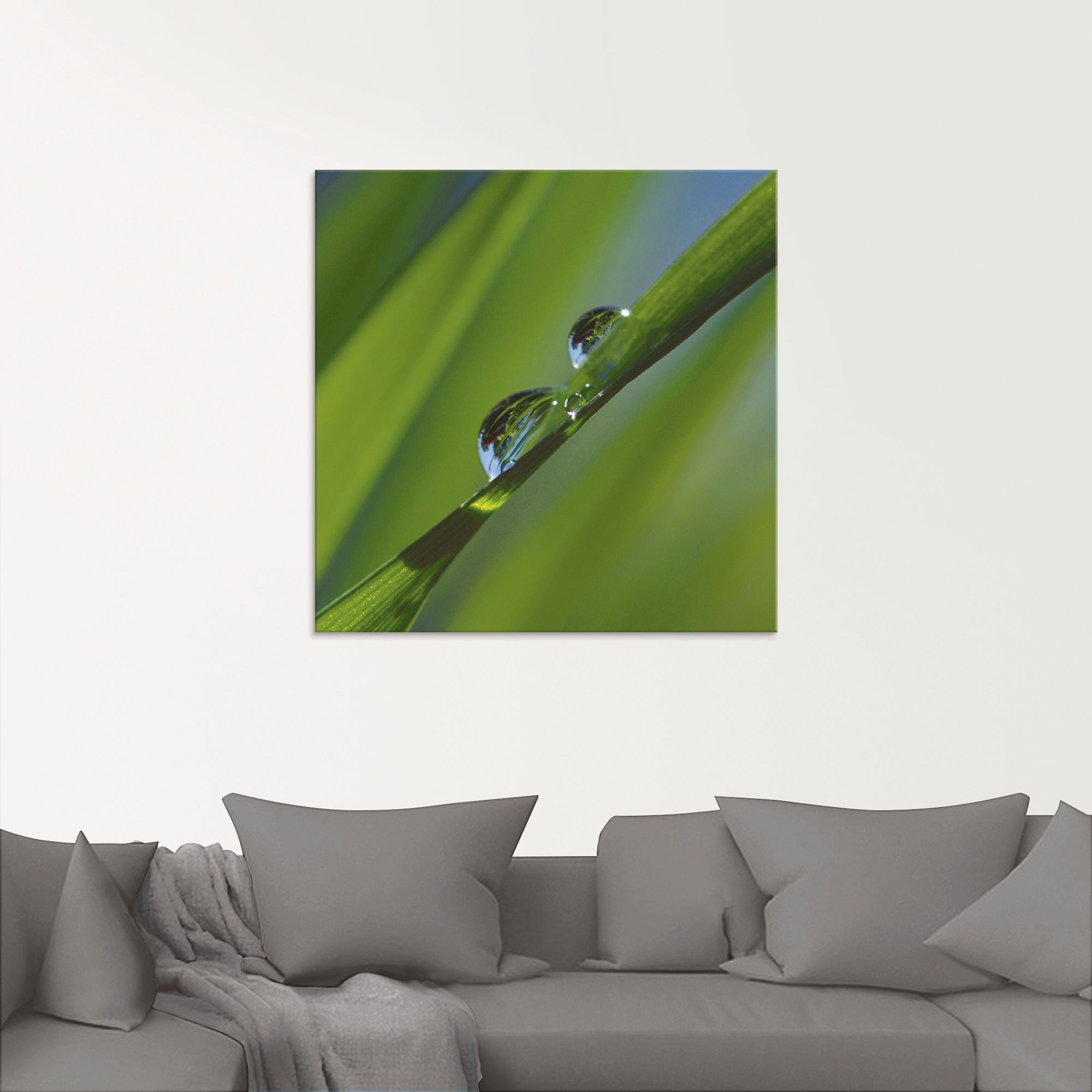 Artland Glasbild »Wassertropfen auf Grashalm«, Gräser, (1 St.), in verschiedenen Größen