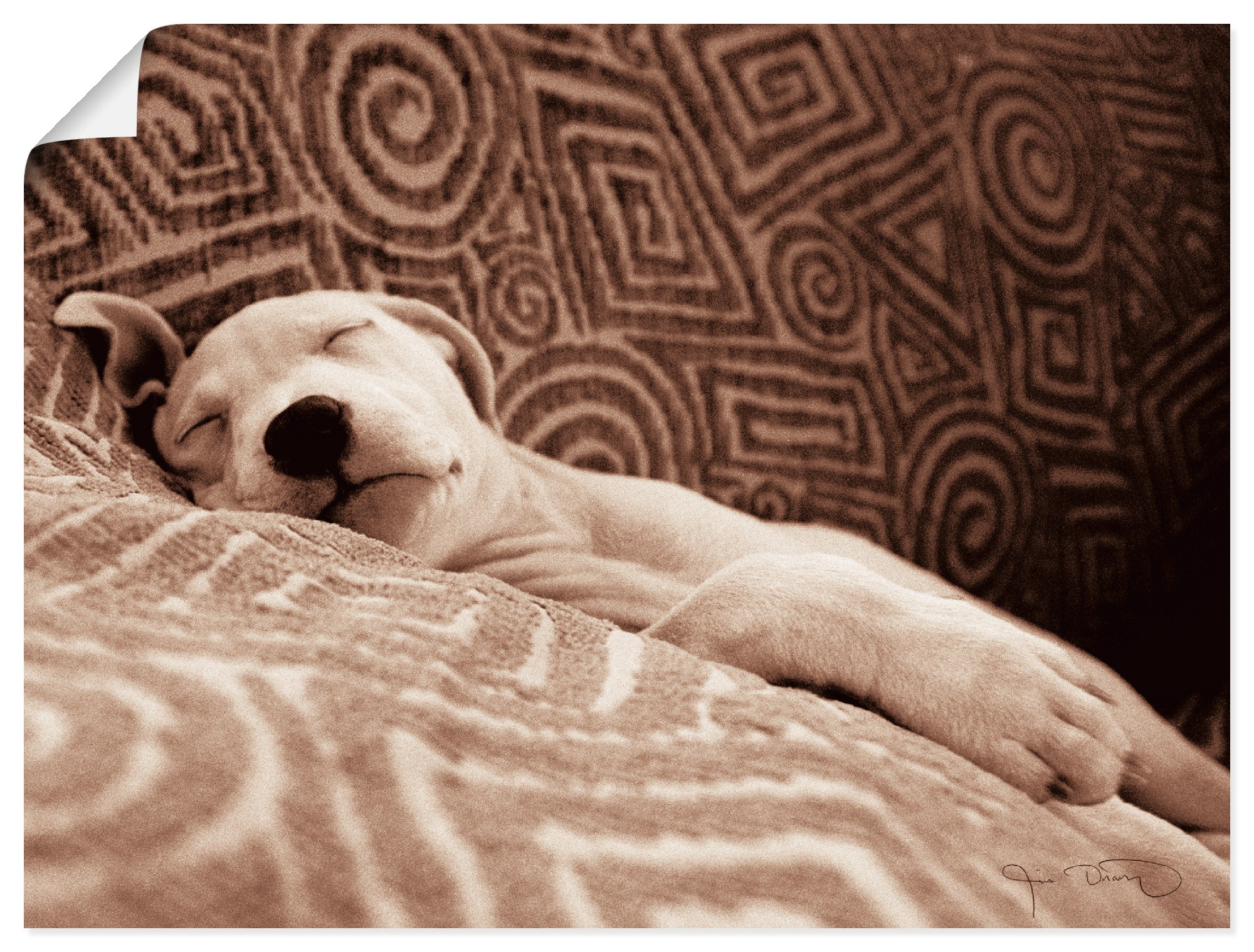 Artland Wandbild »Müder Hund«, Haustiere, (1 St.), als Leinwandbild,  Wandaufkleber oder Poster in versch. Größen bestellen | BAUR