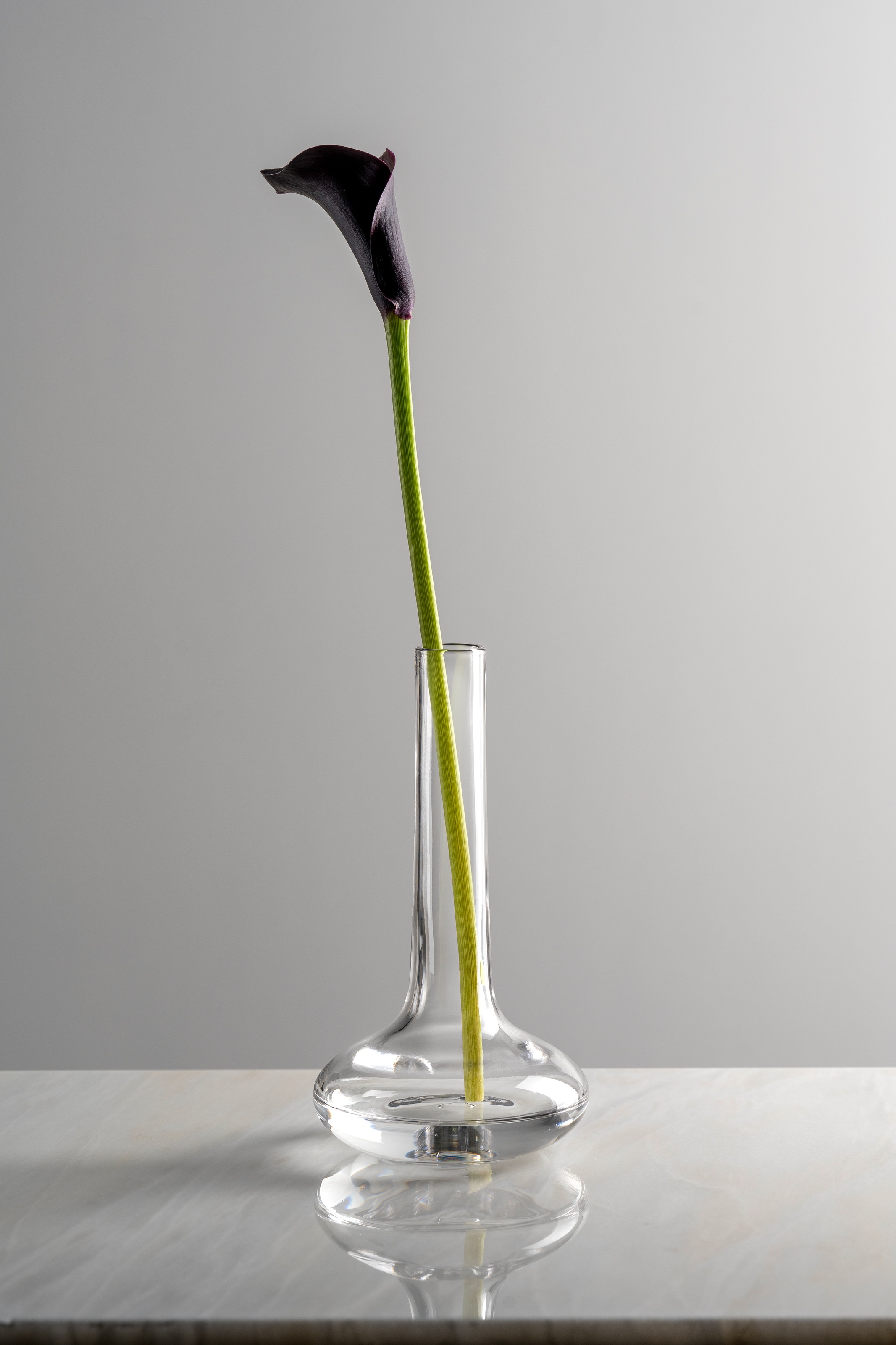 LEONARDO Dekovase »GK/Solifleurvase ARIA«, (1 St.)