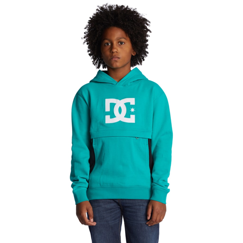 DC Shoes Kapuzensweatshirt »Bandwidth«