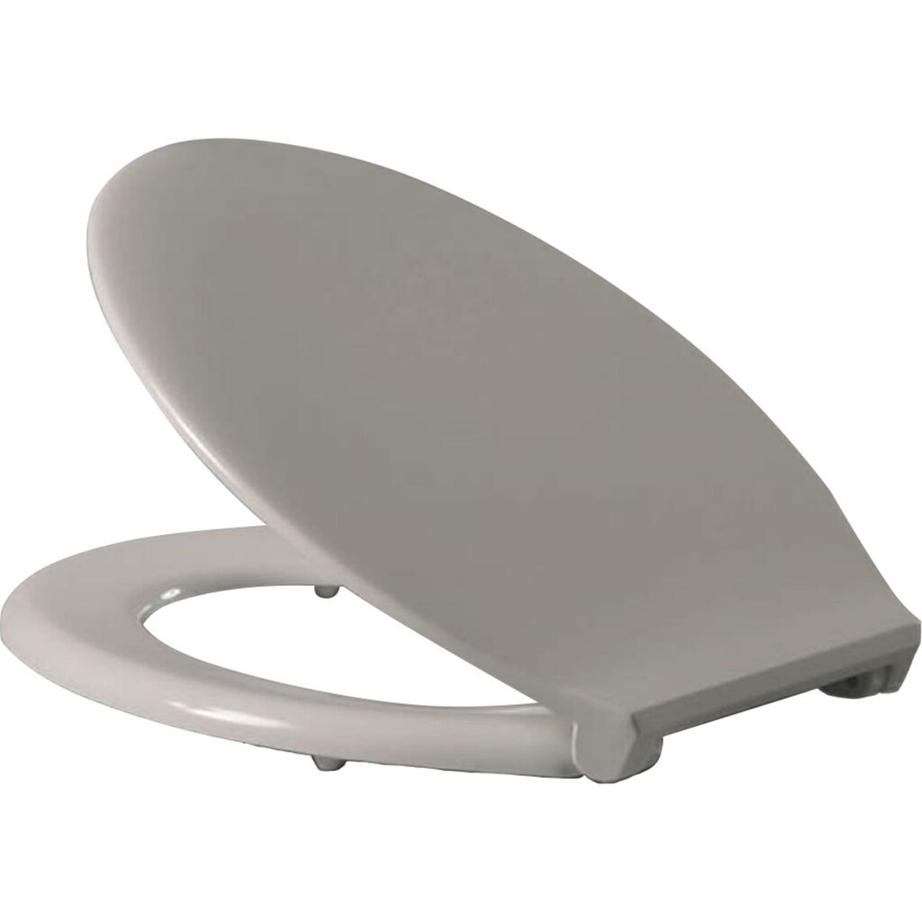 Technik & Freizeit Bad & Sanitär HARO WC-Sitz »Haro Pool«, ohne Absenkautomatik, Edelstahlscharniere Technik & Freizeit Bad & Sanitär HARO WC-Sitz »Haro Pool«, ohne Absenkautomatik, Edelstahlscharniere