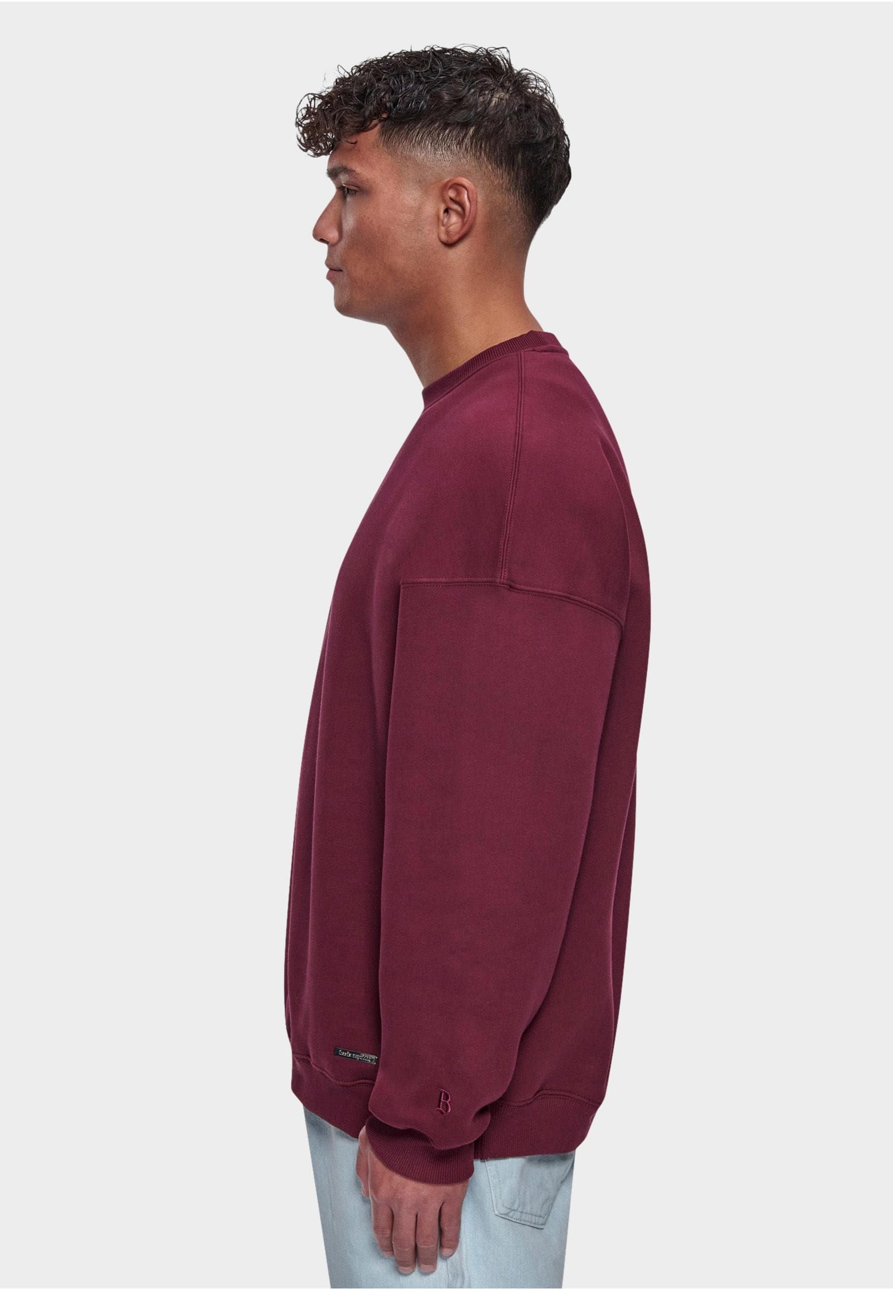 Dropsize Sweatjacke »Dropsize Herren«