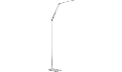 LED Stehlampe »Geri«, 1 flammig-flammig