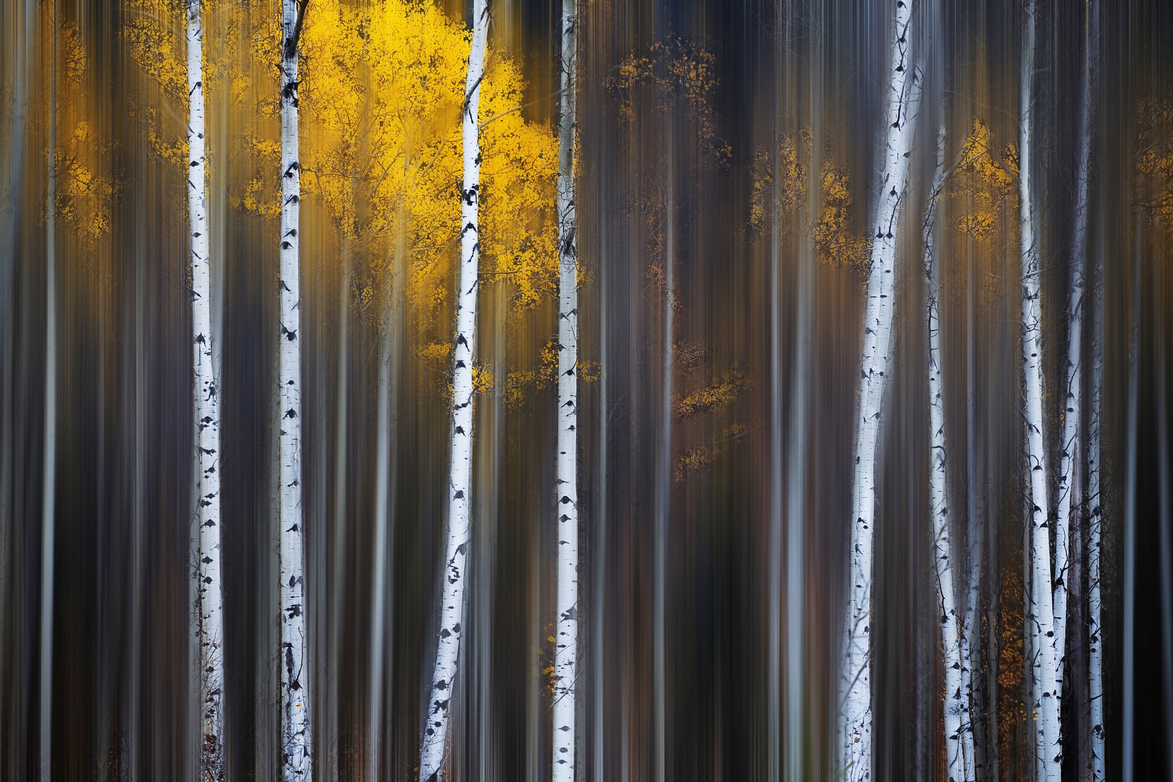 Papermoon Fototapete "Photo-Art ANDY HU, FALLVORHANG"