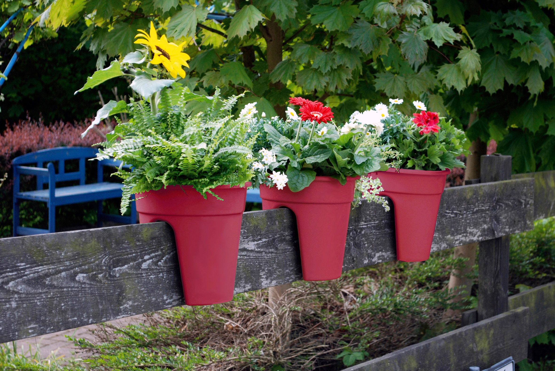 KHW Pflanzkübel "Flowerclip", (Set, 3 St.), ØxH: 27x27,5 cm günstig online kaufen