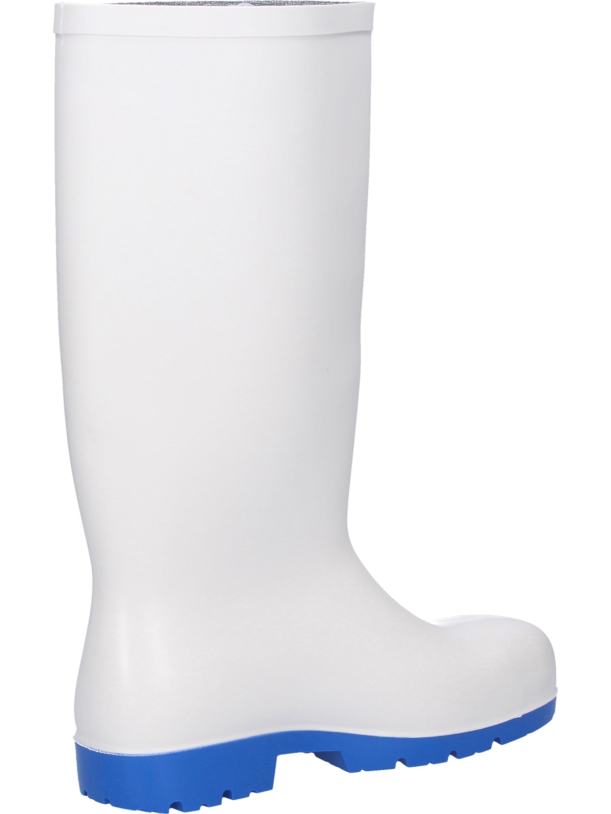 Dunlop Gummistiefel »Acifort Classic+«