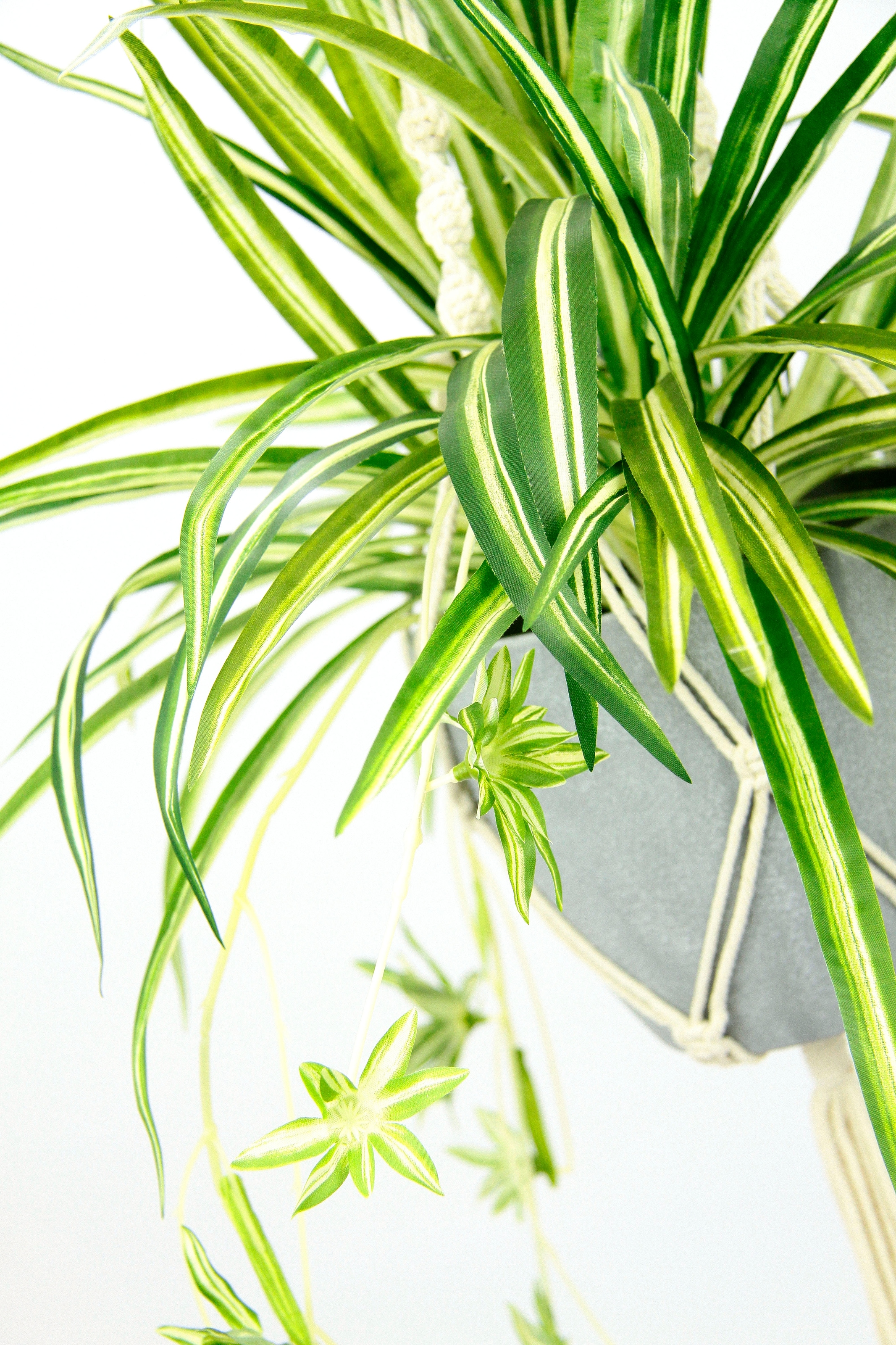 I.GE.A. Künstliche Zimmerpflanze »Wasserlilie«, im Kunststofftopf, mit  Hängeampel kaufen | BAUR | Kunstranken