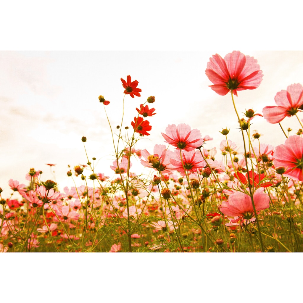 A.S. Création Leinwandbild »Flower Meadow«, Blumen, (1 St.)