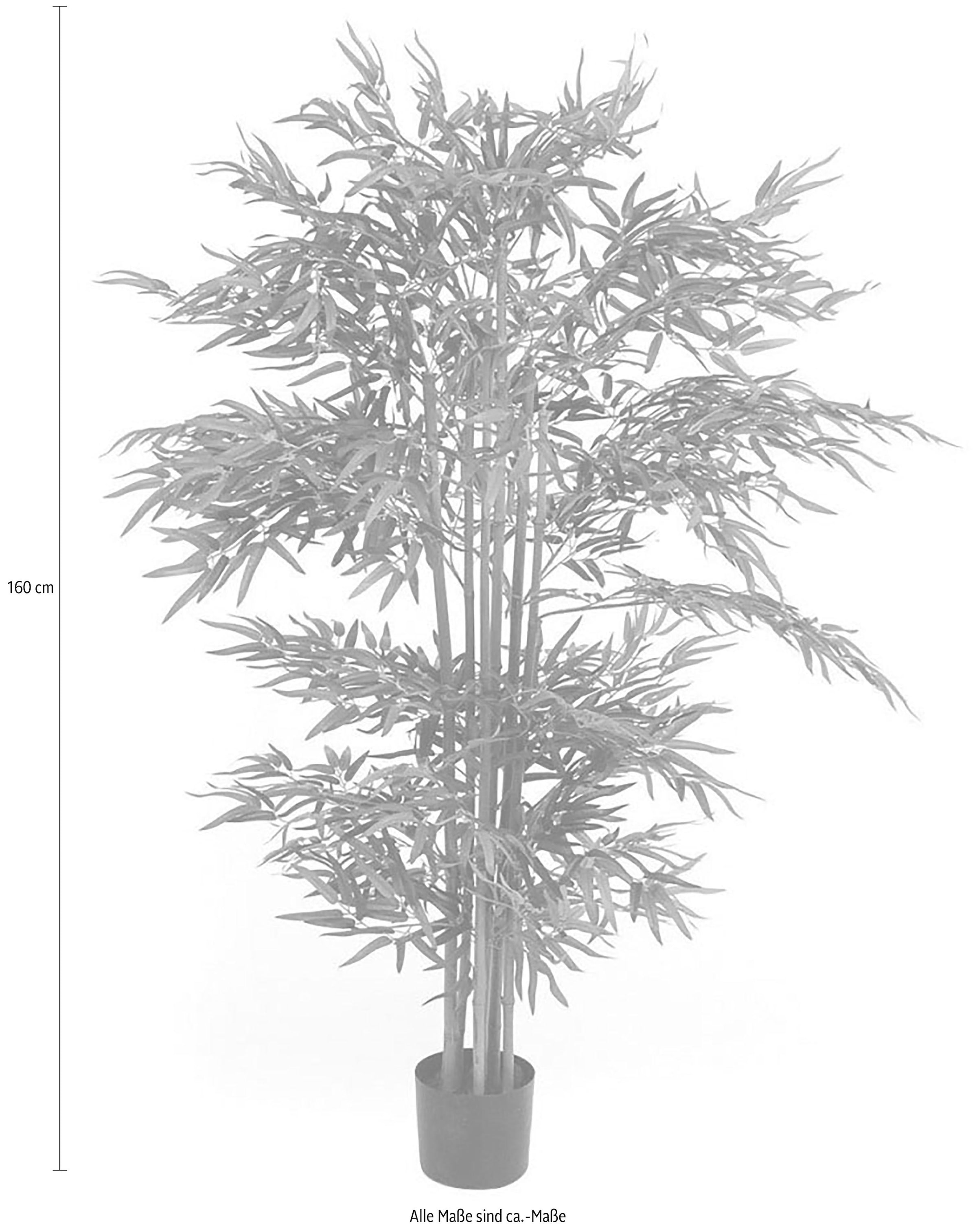 Schneider Kunstpflanze »Bambusbaum«