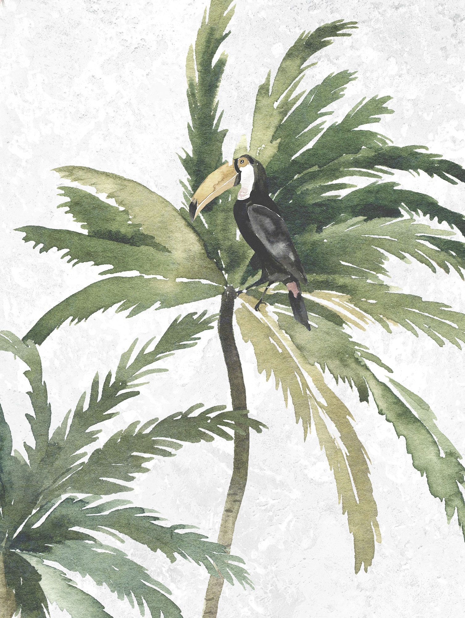 Komar Bild "Tropical Toucan", Natur, (1 St.), Wandbild zur Dekoration - ohn günstig online kaufen