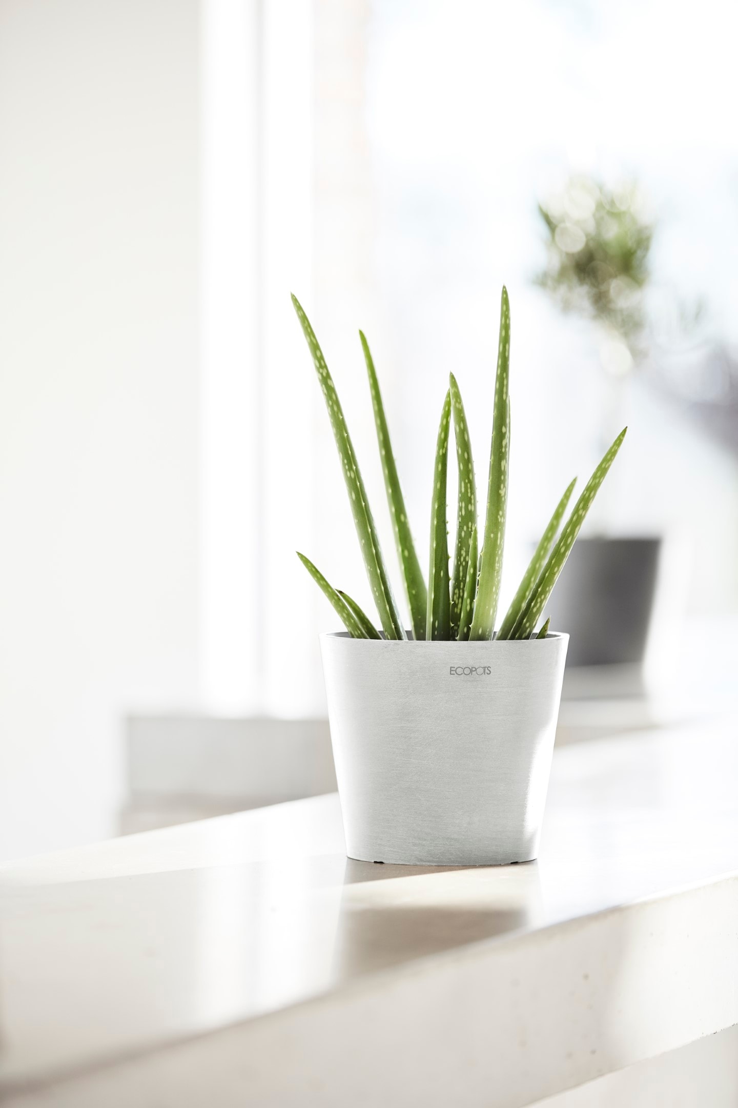 ECOPOTS Blumentopf »Amsterdam Mini 17 Weiß« für den Innenbereich