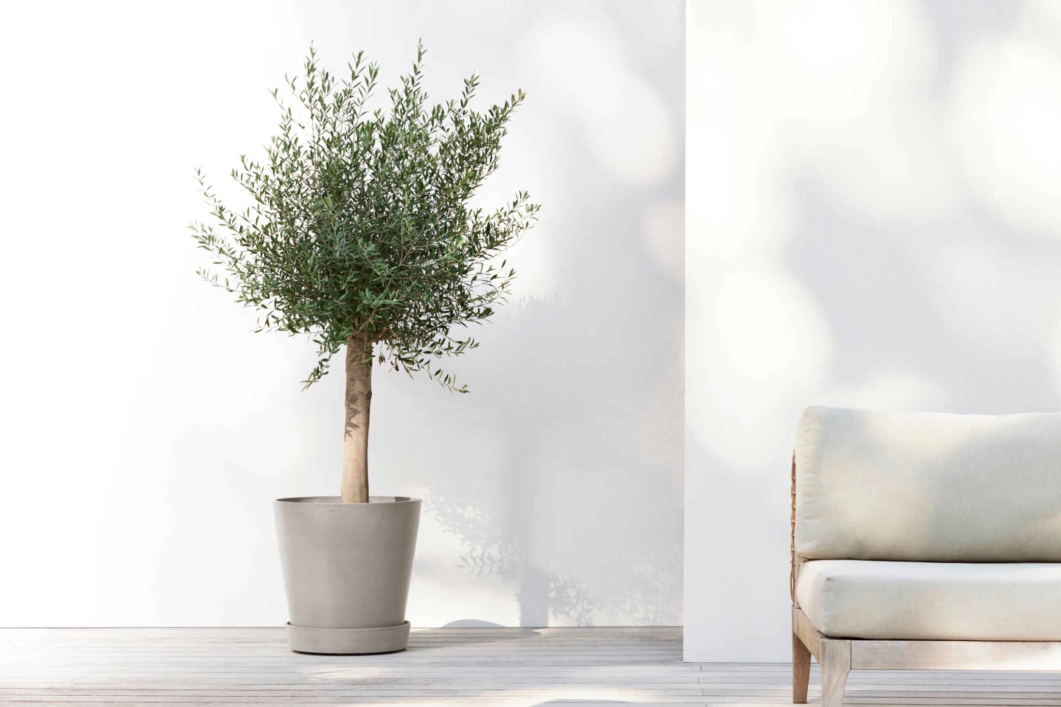 ECOPOTS Blumentopfuntersetzer »SAUCER WHEELS Taupe« BxTxH: 41,5x41,5x9 cm