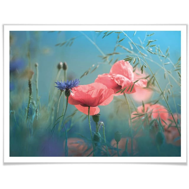 Wall-Art Poster »Wildblumen Aquamarin«, Blumen, (1 St.) kaufen | BAUR