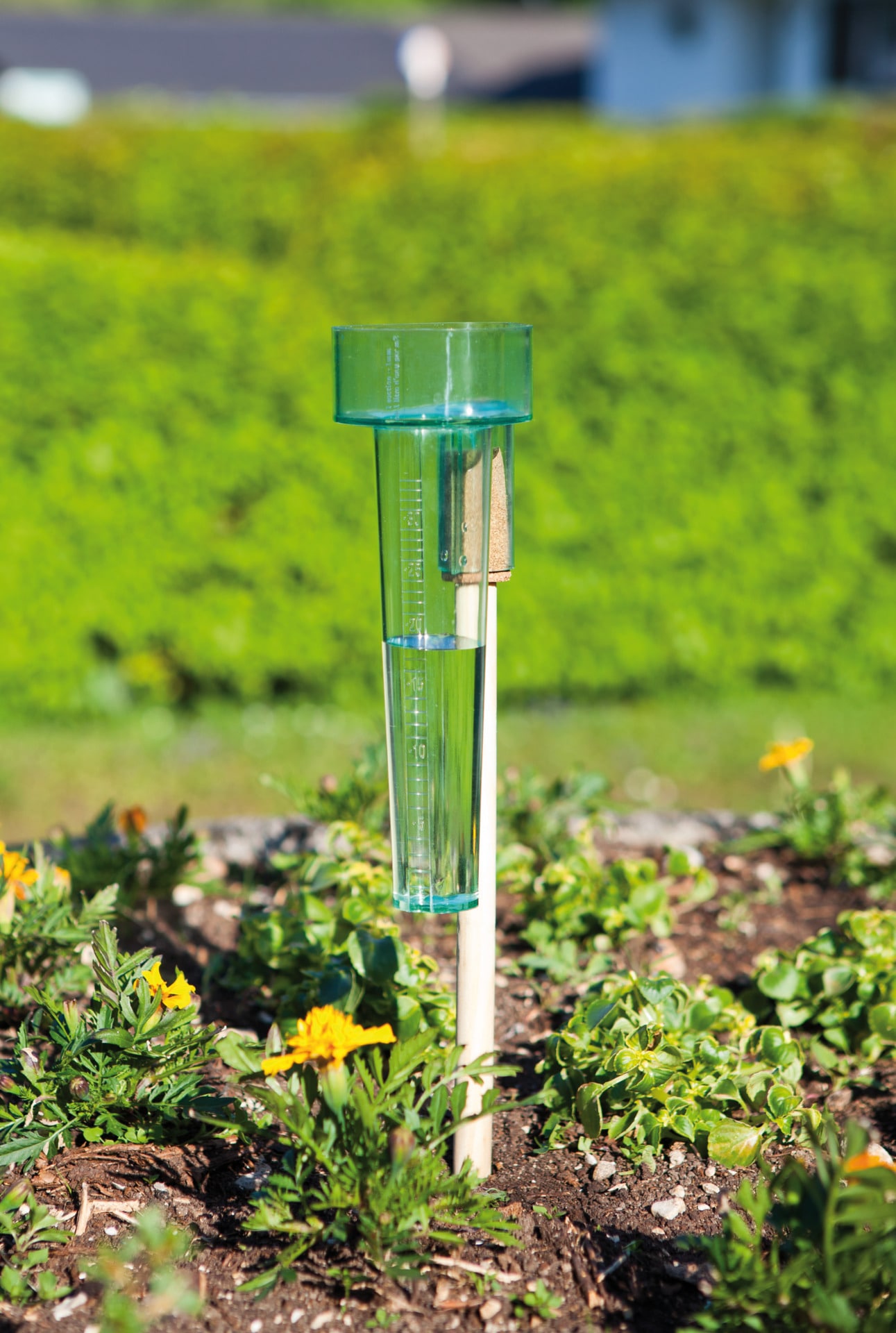 Windhager Regenmesser »Profi, Niederschlagsmesser« () für Rasenaussaat, Blumen- oder Gemüsebeet, 22 cm