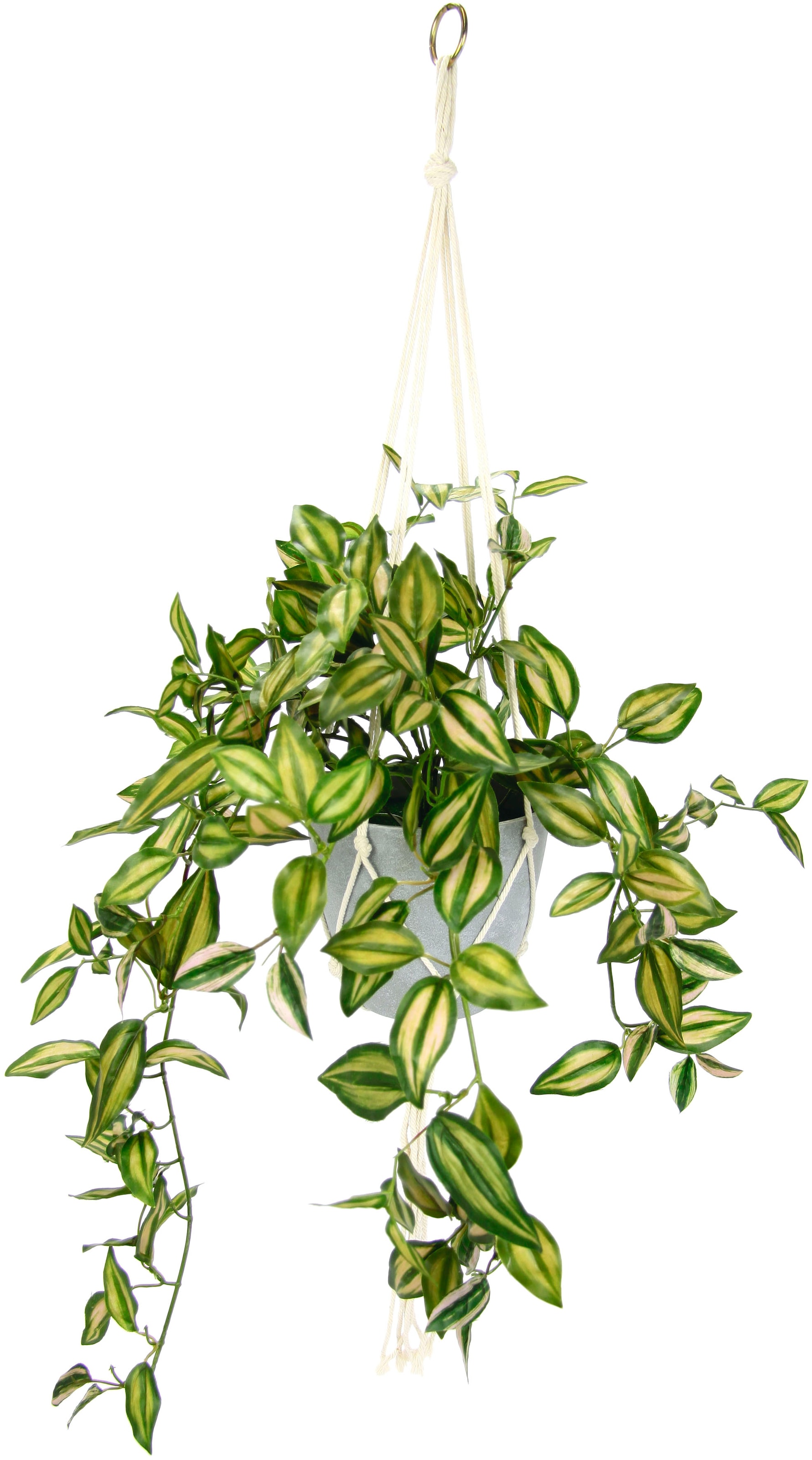 Creativ green Kunstranke bestellen »Philodendronhänger«, | im BAUR Hängetopf
